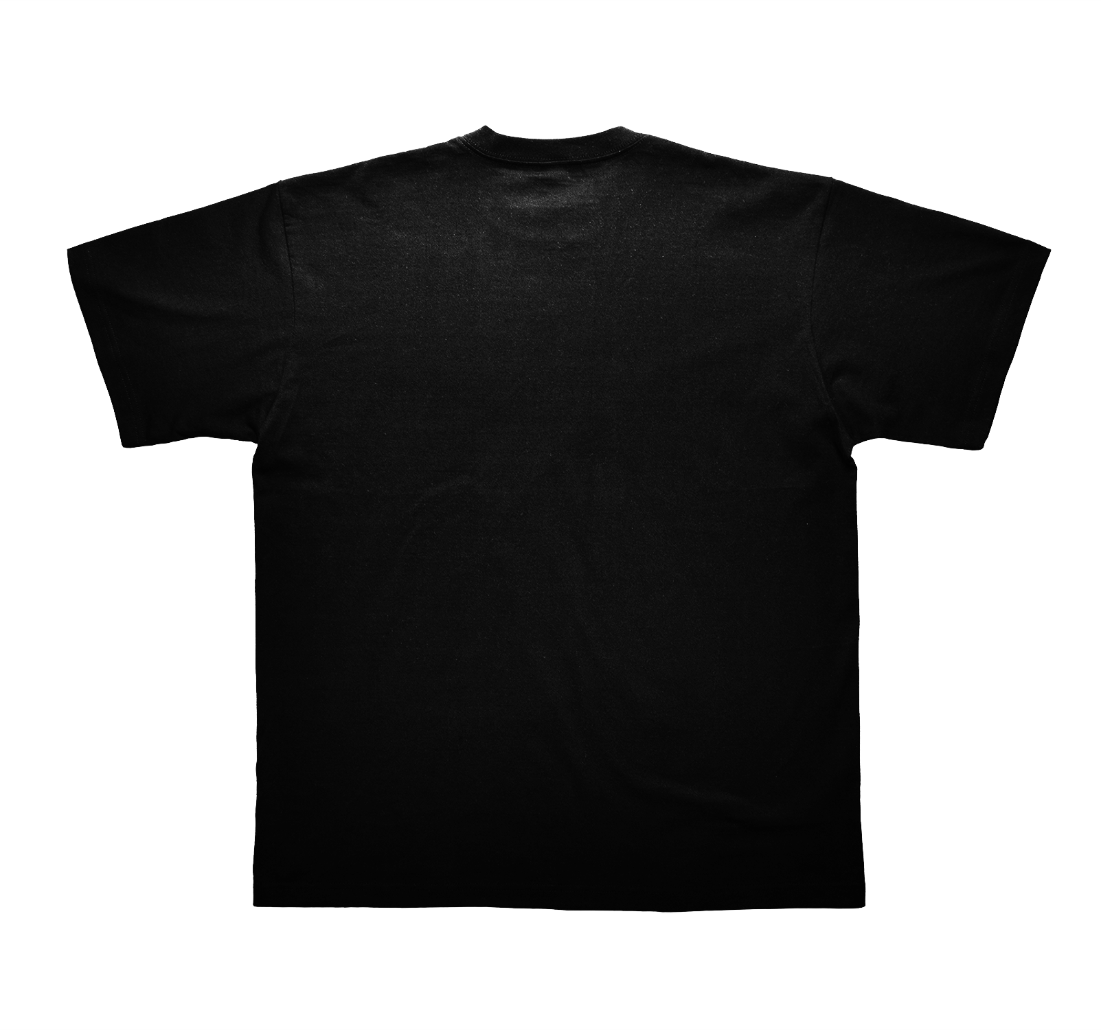 Mockupstandard_Black_-BasicTee-Oversized-Back.png